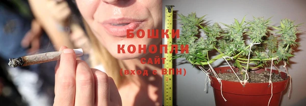 ПСИЛОЦИБИНОВЫЕ ГРИБЫ Балахна