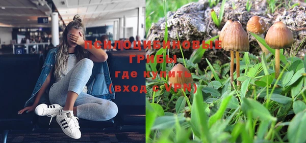 ПСИЛОЦИБИНОВЫЕ ГРИБЫ Балахна