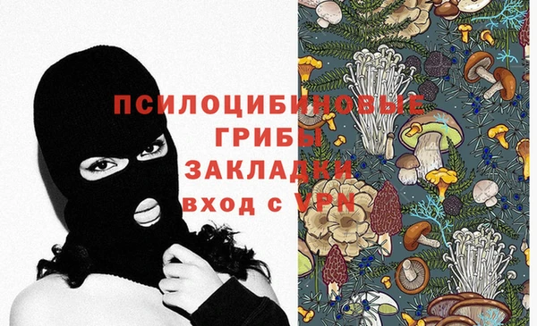 ПСИЛОЦИБИНОВЫЕ ГРИБЫ Балахна