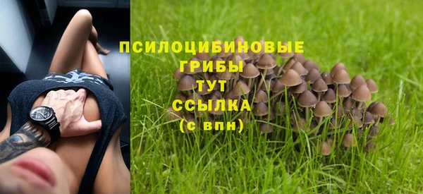 дмт Балабаново