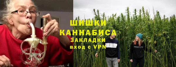 ПСИЛОЦИБИНОВЫЕ ГРИБЫ Балахна