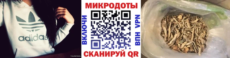 Галлюциногенные грибы Cubensis  Ленск 